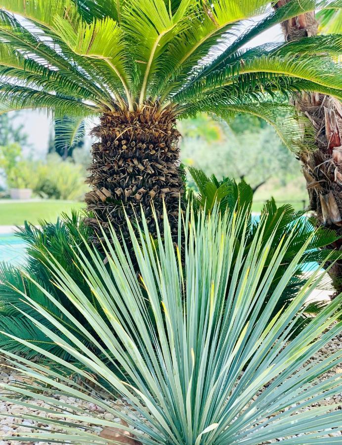 Villa Mario Resort Salò Εξωτερικό φωτογραφία